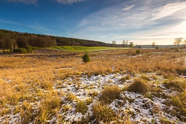 Campo de invierno temprano paisaje — Foto de Stock