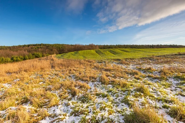 Inverno cedo campo paisagem — Fotografia de Stock