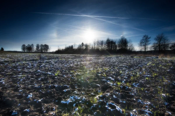 Campo de invierno temprano paisaje — Foto de Stock