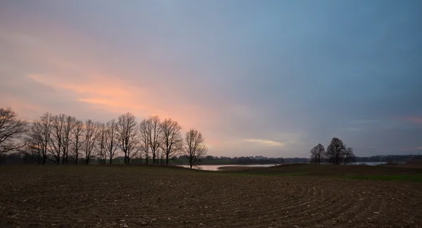 ท้องฟ้าตอนเย็นเหนือทุ่งหญ้า — ภาพถ่ายสต็อก