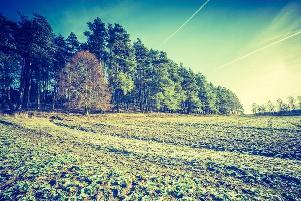 Foto vintage de los primeros campos de invierno — Foto de Stock