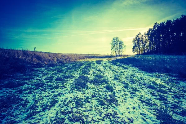 Foto vintage de los primeros campos de invierno — Foto de Stock