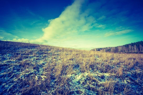 Jahrgangsfoto von frühen Winterfeldern — Stockfoto