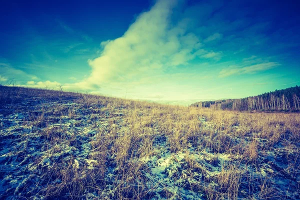 Vintage photo of early winter fields — Stock Photo, Image