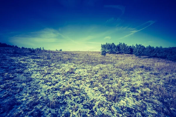Vintage photo of early winter fields — Stock Photo, Image