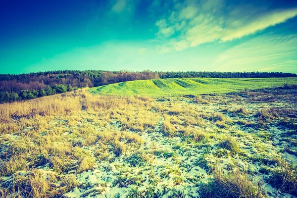 Foto vintage de los primeros campos de invierno — Foto de Stock