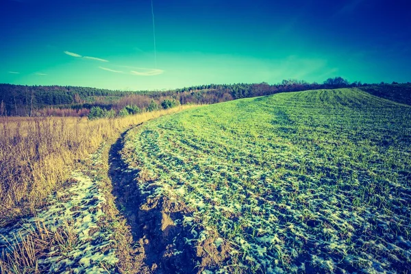 Vintage photo of early winter fields — Stock Photo, Image