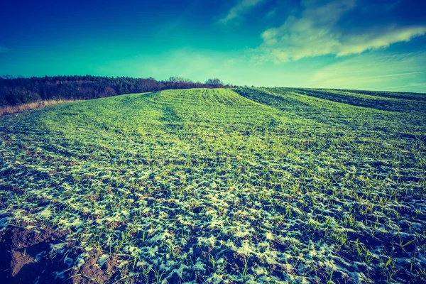 Foto vintage dos primeiros campos de inverno — Fotografia de Stock