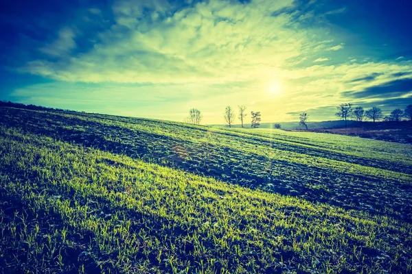 Jahrgangsfoto von frühen Winterfeldern — Stockfoto