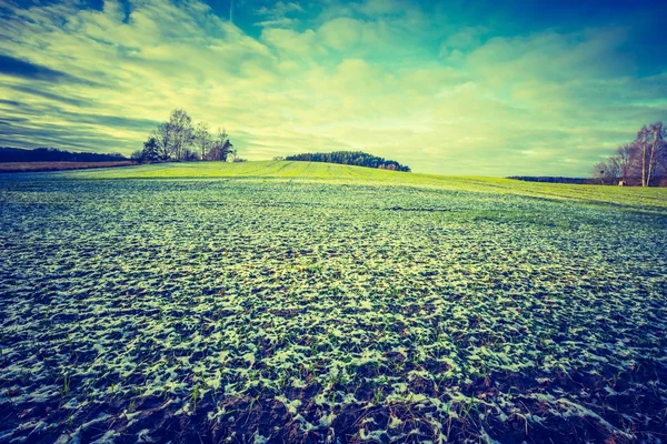 Foto vintage dos primeiros campos de inverno — Fotografia de Stock