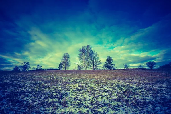 Винтажное фото ранних зимних полей — стоковое фото