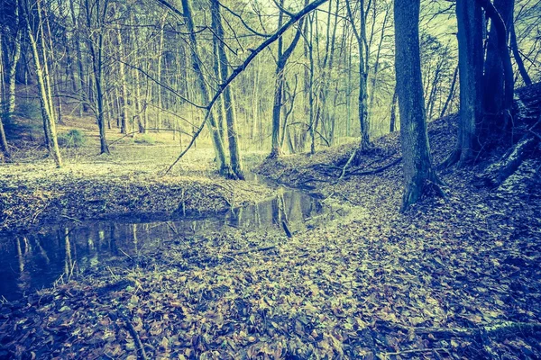 Foto vintage della foresta invernale — Foto Stock