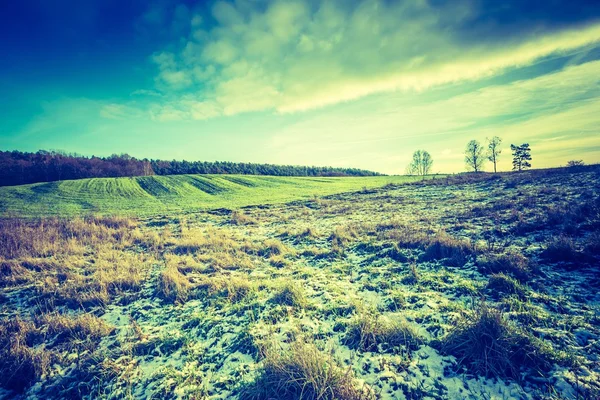 Vintage photo of early winter fields — Stock Photo, Image