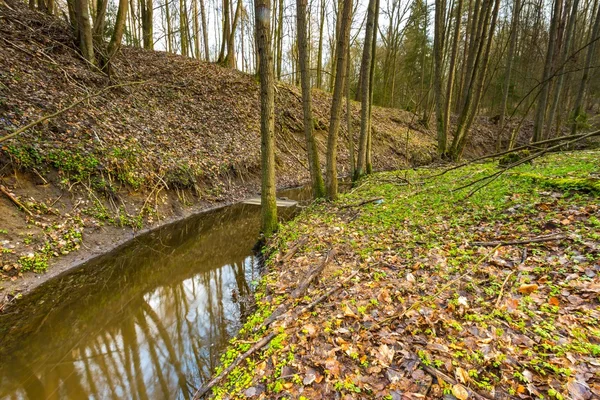 Forêt printanière précoce avec petit paysage fluvial — Photo