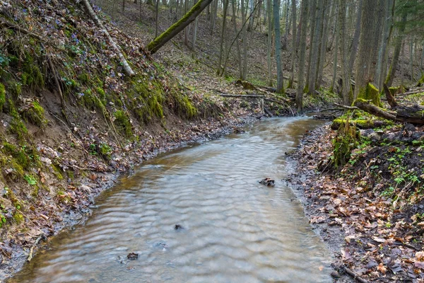 Tidigt på våren skog med liten bäck landskap — Stockfoto