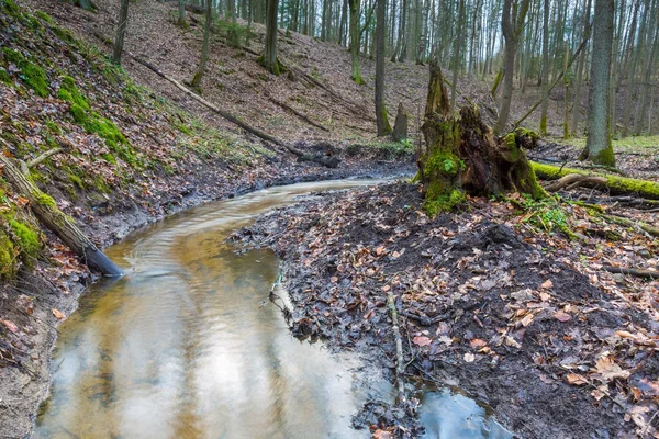 Forêt printanière précoce avec petit paysage fluvial — Photo