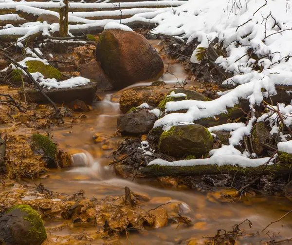 Primer plano del pequeño arroyo en el bosque de invierno —  Fotos de Stock