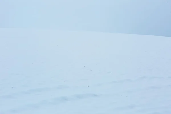 Woestijn van sneeuwlandschap — Stockfoto