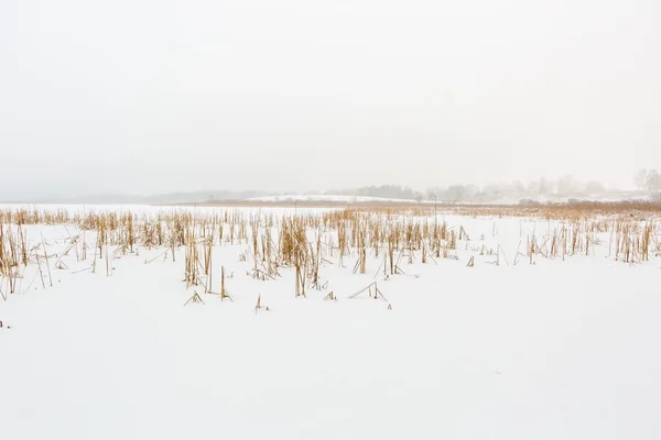 Landscape of frozen lake covered by snow