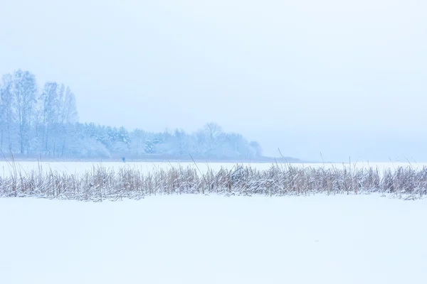 Landschap van bevroren meer vallende sneeuw — Stockfoto