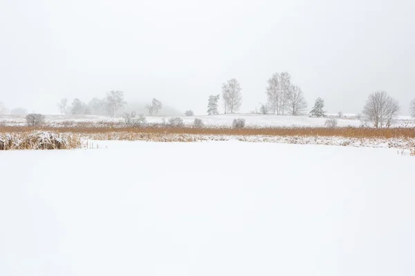 Paysage du lac gelé recouvert de neige — Photo