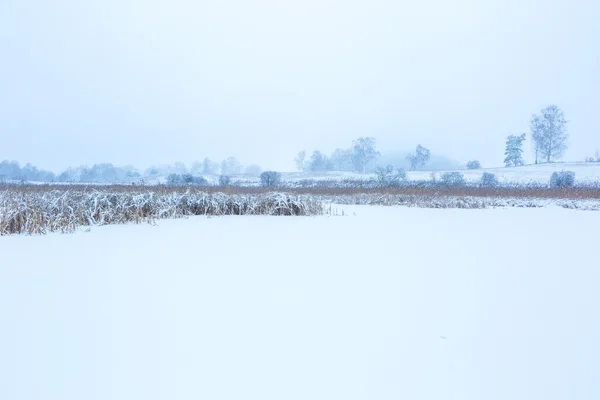 Landscape of frozen lake covered by snow