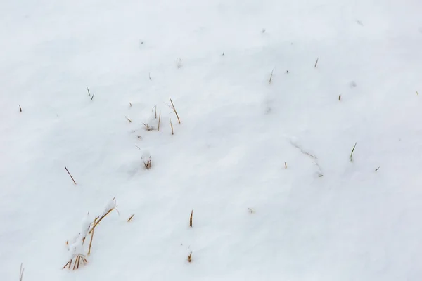 Campo de neve fundo com grama murcha — Fotografia de Stock