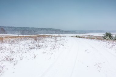Kış alan bulutlu gri gökyüzü altında