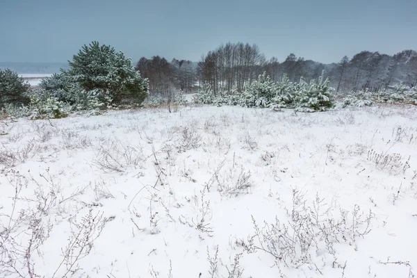 Winter field under cloudy gray sky