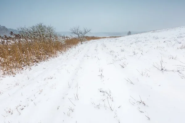 Campo de invierno bajo cielo gris nublado — Foto de Stock