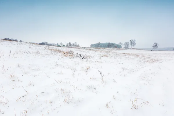 Winter veld onder bewolkte grijze hemel — Stockfoto