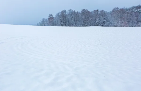 Campo de inverno sob céu cinza nublado — Fotografia de Stock