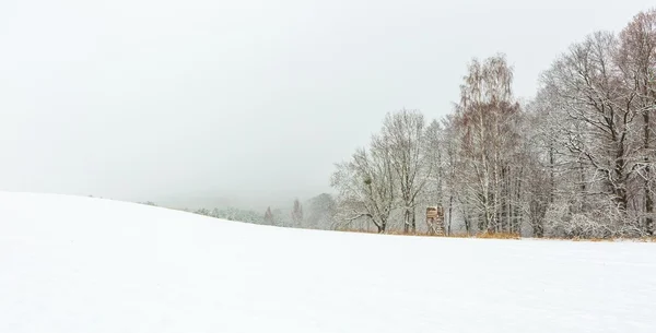 Campo de inverno sob céu cinza nublado — Fotografia de Stock