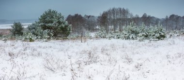 Kış alan bulutlu gri gökyüzü altında