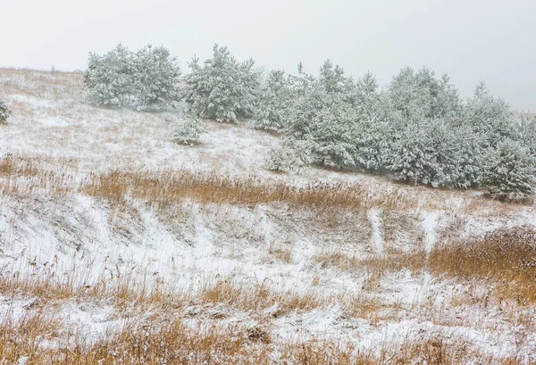 Winter field under cloudy gray sky