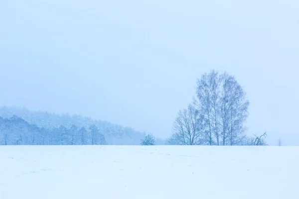 Campo de inverno sob céu cinza nublado — Fotografia de Stock