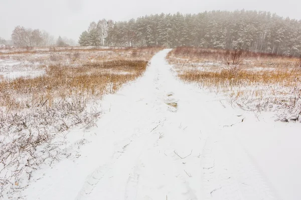 Winter field under cloudy gray sky