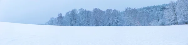 Campo de inverno sob céu cinza nublado — Fotografia de Stock