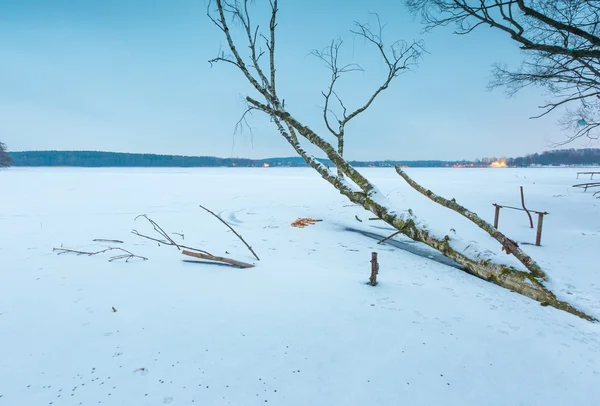 Invierno paisaje lago congelado con abedul viejo . — Foto de Stock