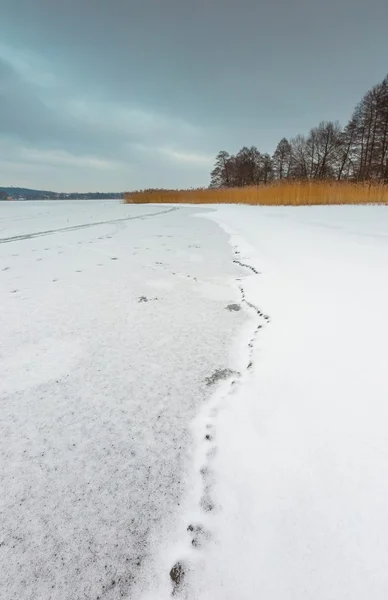 Kış donmuş göl manzara. — Stok fotoğraf