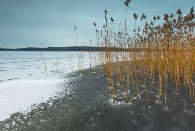 Kış donmuş göl manzara.