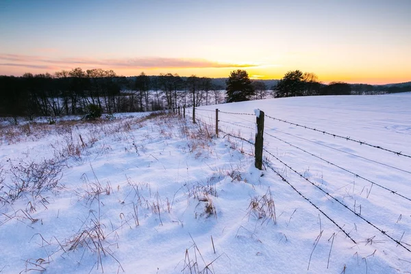 Piękny zimowy pól z ogrodzenia z drutu kolczastego — Zdjęcie stockowe
