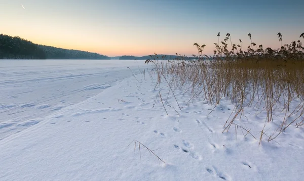 Céu do por do sol sobre lago congelado e nevado . — Fotografia de Stock