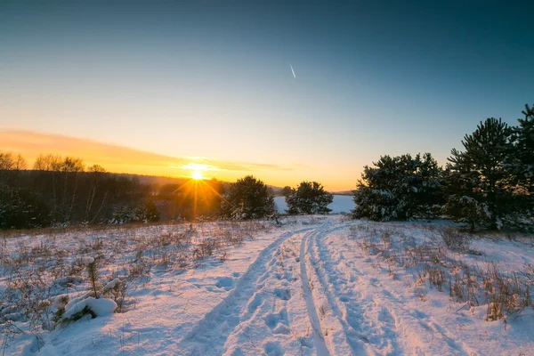 Hermosos campos de invierno y árboles paisaje — Foto de Stock