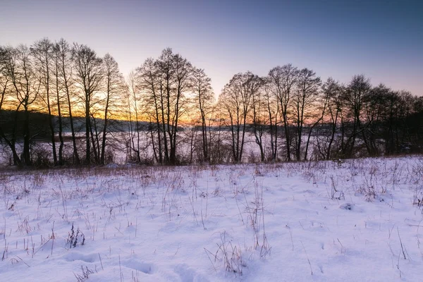 Belos campos de inverno e árvores paisagem — Fotografia de Stock