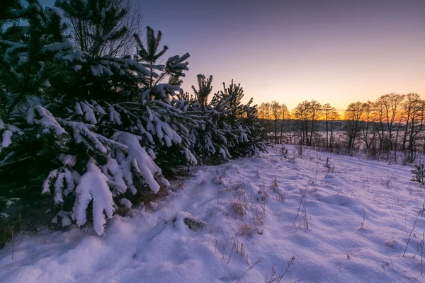 Mooie winter velden en bomen landschap — Stockfoto