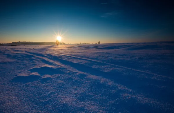 Bela manhã fria no campo de inverno nevado . — Fotografia de Stock