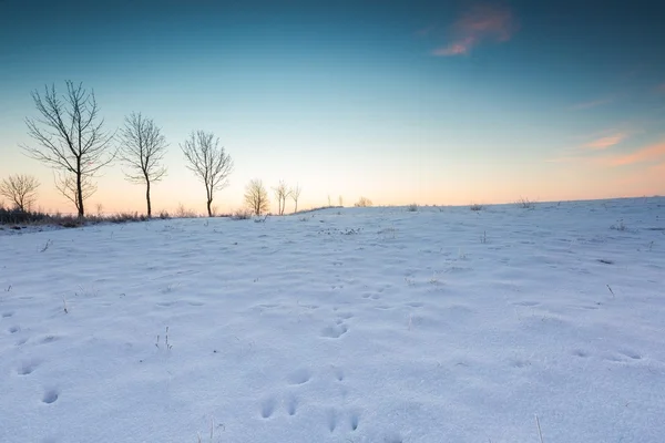 Krásné chladné ráno na zasněžené zimní krajiny. — Stock fotografie
