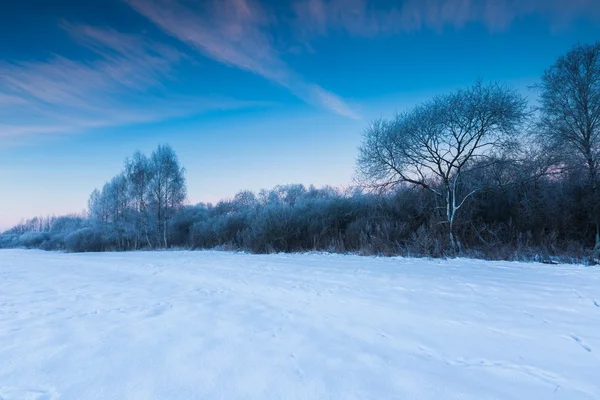 Bela manhã fria no campo de inverno nevado . — Fotografia de Stock