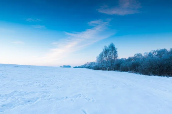 Mooie koude ochtend op besneeuwde winter platteland. — Stockfoto